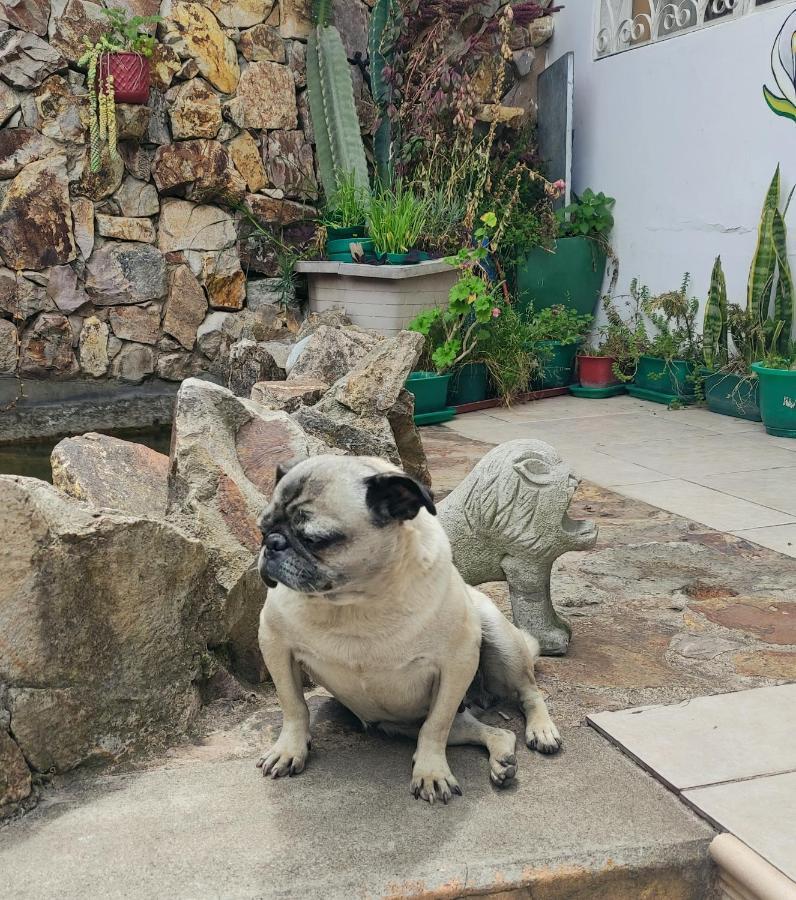 Casa Bella Vista Bed & Breakfast Cuenca Dış mekan fotoğraf